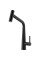 Смеситель Franke Icon Pull Out черный матовый (в/ш) (115.0625.190)